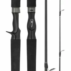 DAIWA 21 TIERRA 601HFB BAITCAST ROD