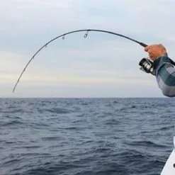 NS Black Hole N.S EXPLORER C582 LIGHT JIGGING BAITCAST ROD