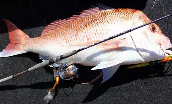 NS Black Hole N.S EXPLORER S575 LIGHT JIGGING SPIN ROD - Image 2