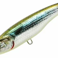 LITTLE JACK FORMA HEADS 105mm LURE - 03 - Olive Bait